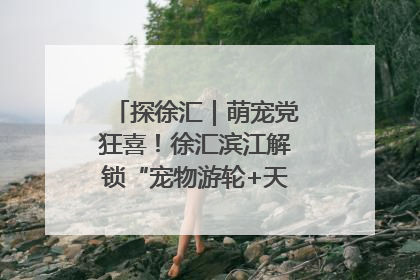探徐汇｜萌宠党狂喜！徐汇滨江解锁“宠物游轮+天台乐园”双玩法
