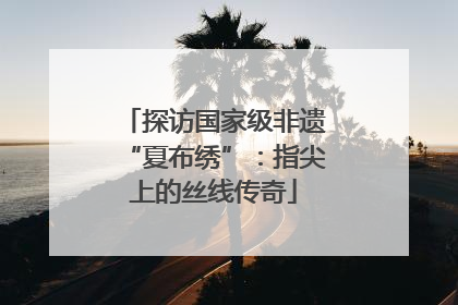探访国家级非遗“夏布绣”：指尖上的丝线传奇