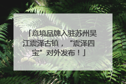 意境品牌入驻苏州吴江震泽古镇，“震泽四宝”对外发布！