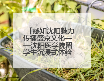 感知沈阳魅力传播盛京文化——沈阳医学院留学生沉浸式体验沈阳文旅特色