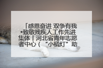 感恩奋进 双争有我•致敬残疾人工作先进集体丨河北省青年志愿者中心（“小橘灯”助残接力计划实施团队）：用温暖陪伴，守护特殊孩子成长