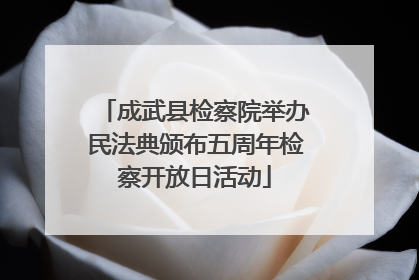 成武县检察院举办民法典颁布五周年检察开放日活动