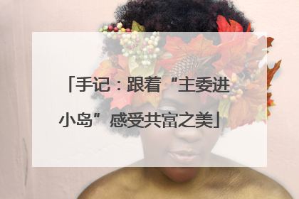 手记：跟着“主委进小岛”感受共富之美