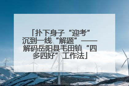 扑下身子“迎考” 沉到一线“解题”——解码岳阳县毛田镇“四多四好”工作法