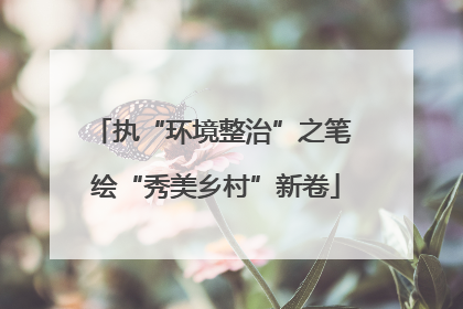 执“环境整治”之笔 绘“秀美乡村”新卷