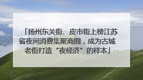 扬州东关街、皮市街上榜江苏省夜间消费集聚商圈，成为古城老街打造“夜经济”的样本