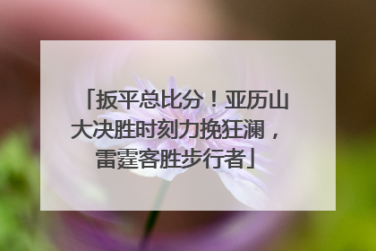 扳平总比分！亚历山大决胜时刻力挽狂澜，雷霆客胜步行者