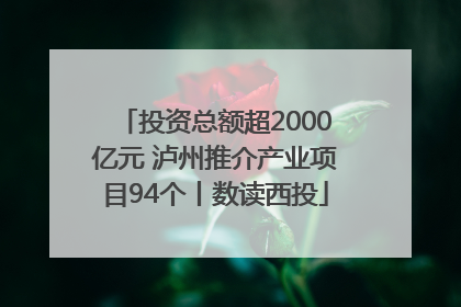 投资总额超2000亿元 泸州推介产业项目94个丨数读西投