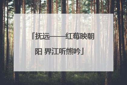 抚远——红莓映朝阳 界江听熊吟