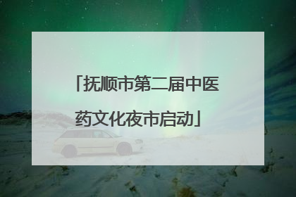 抚顺市第二届中医药文化夜市启动