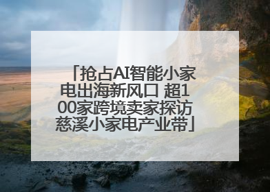 抢占AI智能小家电出海新风口 超100家跨境卖家探访慈溪小家电产业带