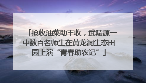 抢收油菜助丰收，武陵源一中数百名师生在黄龙洞生态田园上演“青春助农记”