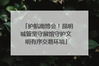 护航南博会！昆明城管坚守展馆守护文明有序交易环境