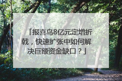 报喜鸟8亿元定增折戟，快速扩张中如何解决巨额资金缺口？