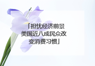 担忧经济前景 美国近八成民众改变消费习惯