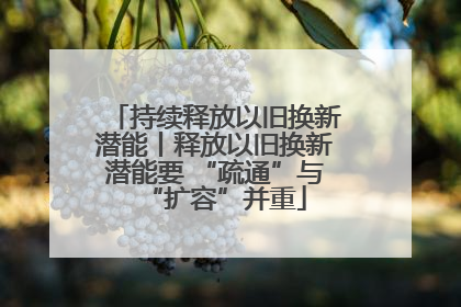 持续释放以旧换新潜能丨释放以旧换新潜能要 “疏通”与“扩容”并重