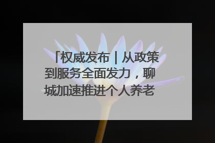 权威发布｜从政策到服务全面发力，聊城加速推进个人养老金制度落地