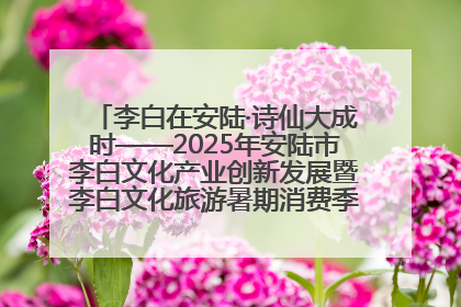 李白在安陆·诗仙大成时——2025年安陆市李白文化产业创新发展暨李白文化旅游暑期消费季活动在武汉启幕