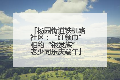 杨园街道铁机路社区：“红领巾”相约“银发族” 老少同乐庆端午