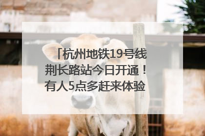 杭州地铁19号线荆长路站今日开通！有人5点多赶来体验：太方便了