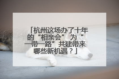 杭州这场办了十年的“相亲会” 为“一带一路”共建带来哪些新机遇？