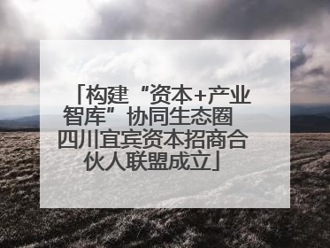 构建“资本+产业智库”协同生态圈 四川宜宾资本招商合伙人联盟成立