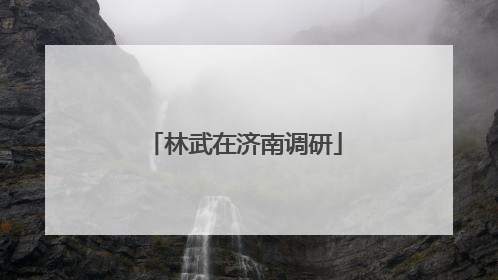 林武在济南调研