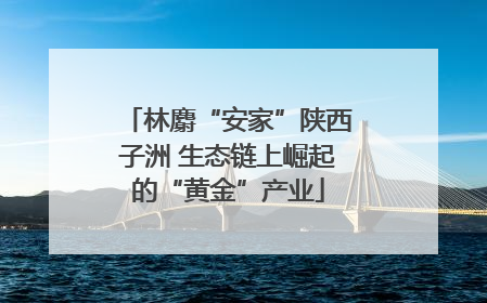 林麝“安家”陕西子洲 生态链上崛起的“黄金”产业