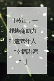 枝江：一线协商助力打造老年人“幸福港湾”
