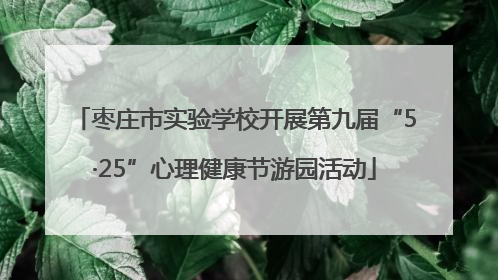 枣庄市实验学校开展第九届“5·25”心理健康节游园活动