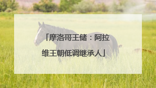 摩洛哥王储：阿拉维王朝低调继承人
