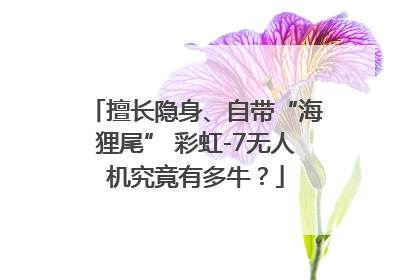 擅长隐身、自带“海狸尾” 彩虹-7无人机究竟有多牛？