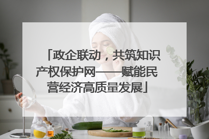 政企联动，共筑知识产权保护网——赋能民营经济高质量发展
