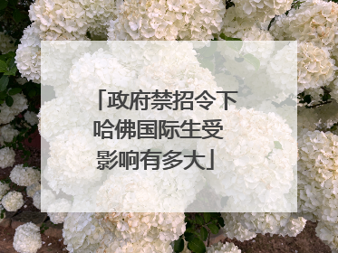 政府禁招令下 哈佛国际生受影响有多大