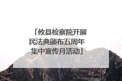 攸县检察院开展民法典颁布五周年集中宣传月活动