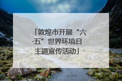 敦煌市开展“六·五”世界环境日主题宣传活动