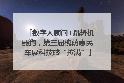 数字人顾问+跳舞机器狗，第三届槐荫惠民车展科技感“拉满”