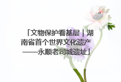 文物保护看基层｜湖南省首个世界文化遗产——永顺老司城遗址