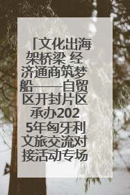 文化出海架桥梁 经济通商筑梦船——自贸区开封片区承办2025年匈牙利文旅交流对接活动专场