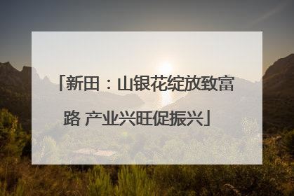 新田：山银花绽放致富路 产业兴旺促振兴