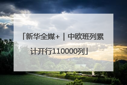新华全媒+｜中欧班列累计开行110000列