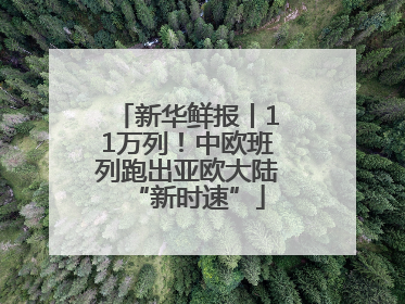 新华鲜报丨11万列！中欧班列跑出亚欧大陆“新时速”