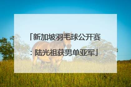 新加坡羽毛球公开赛：陆光祖获男单亚军