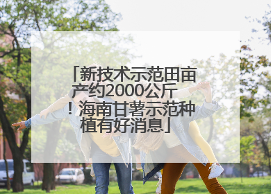 新技术示范田亩产约2000公斤！海南甘薯示范种植有好消息
