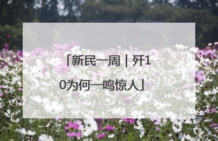 新民一周｜歼10为何一鸣惊人