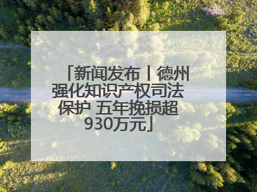 新闻发布丨德州强化知识产权司法保护 五年挽损超930万元