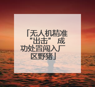 无人机精准“出击” 成功处置闯入厂区野猪