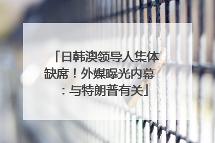 日韩澳领导人集体缺席！外媒曝光内幕：与特朗普有关