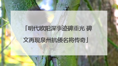 明代欧阳深事迹碑重光 碑文再现泉州抗倭名将传奇