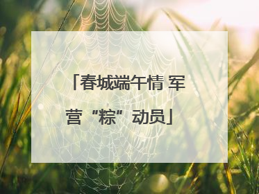 春城端午情 军营“粽”动员
